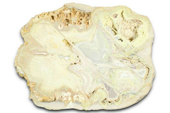 Clay Canyon Crandallite and Wardite - Old Collection Stock #362026